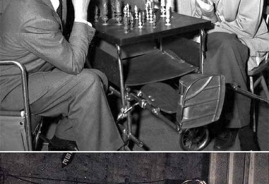 უენდელ კორი, ჯეიმს სტიუარტი და გრეის კელი თამაშობენ ჭადრაკს